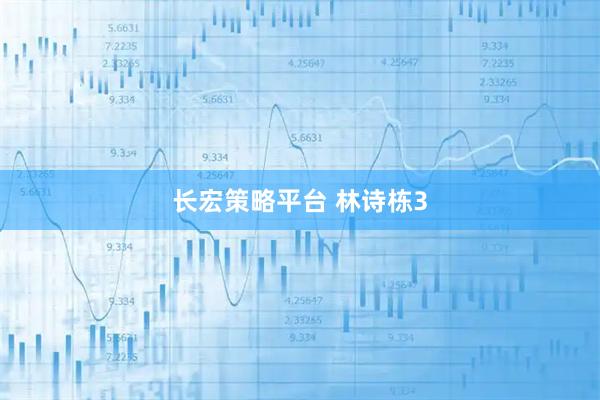 长宏策略平台 林诗栋3