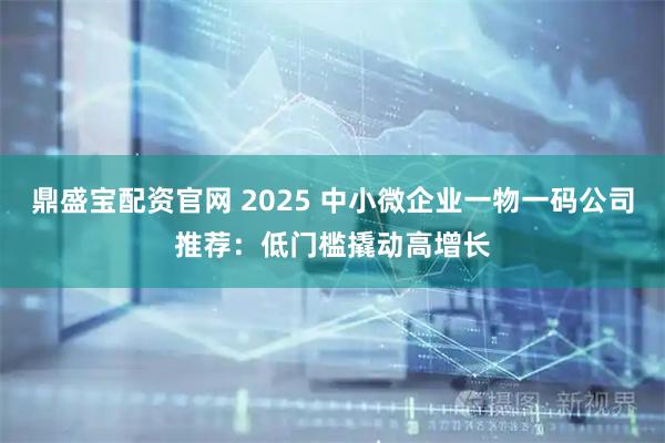 鼎盛宝配资官网 2025 中小微企业一物一码公司推荐：低门槛撬动高增长