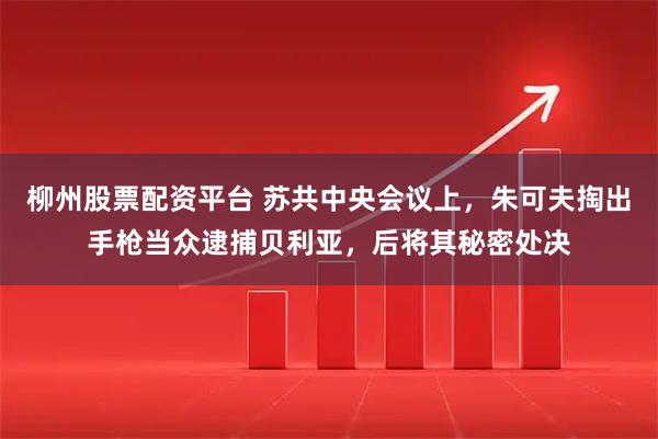 柳州股票配资平台 苏共中央会议上，朱可夫掏出手枪当众逮捕贝利亚，后将其秘密处决