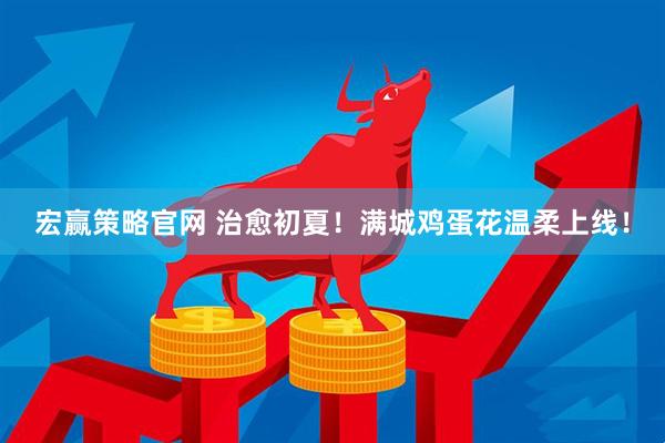宏赢策略官网 治愈初夏！满城鸡蛋花温柔上线！