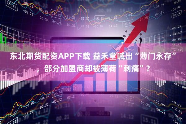 东北期货配资APP下载 益禾堂喊出“薄门永存”，部分加盟商却被薄荷“刺痛”？